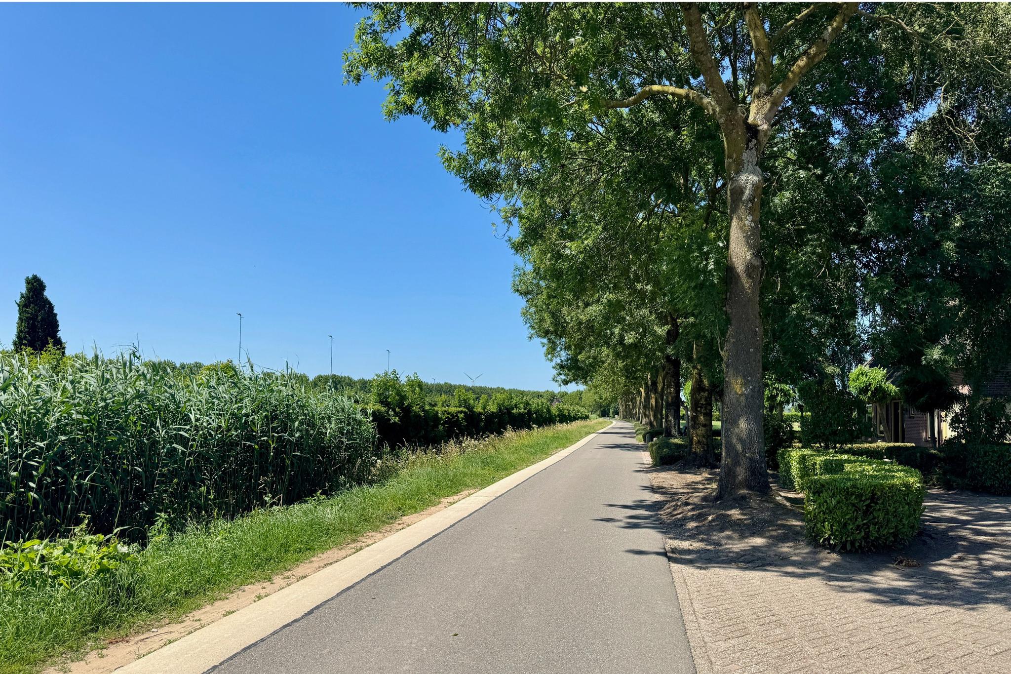 B100079-13112-Heideweg-2,-Waardenburg-238031786