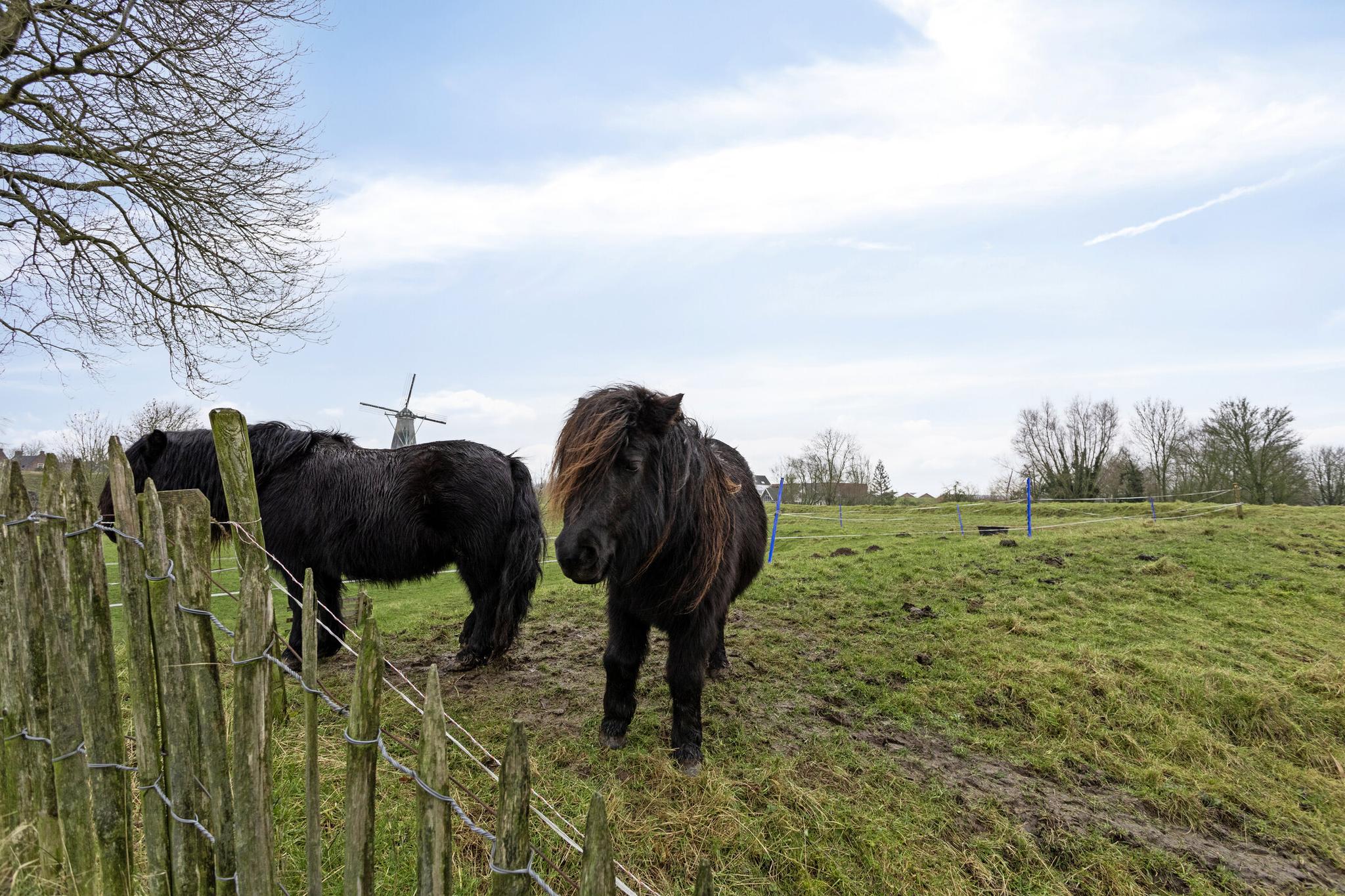 BL100439-10349-Koepoortstraat-33,-Woudrichem-217204779