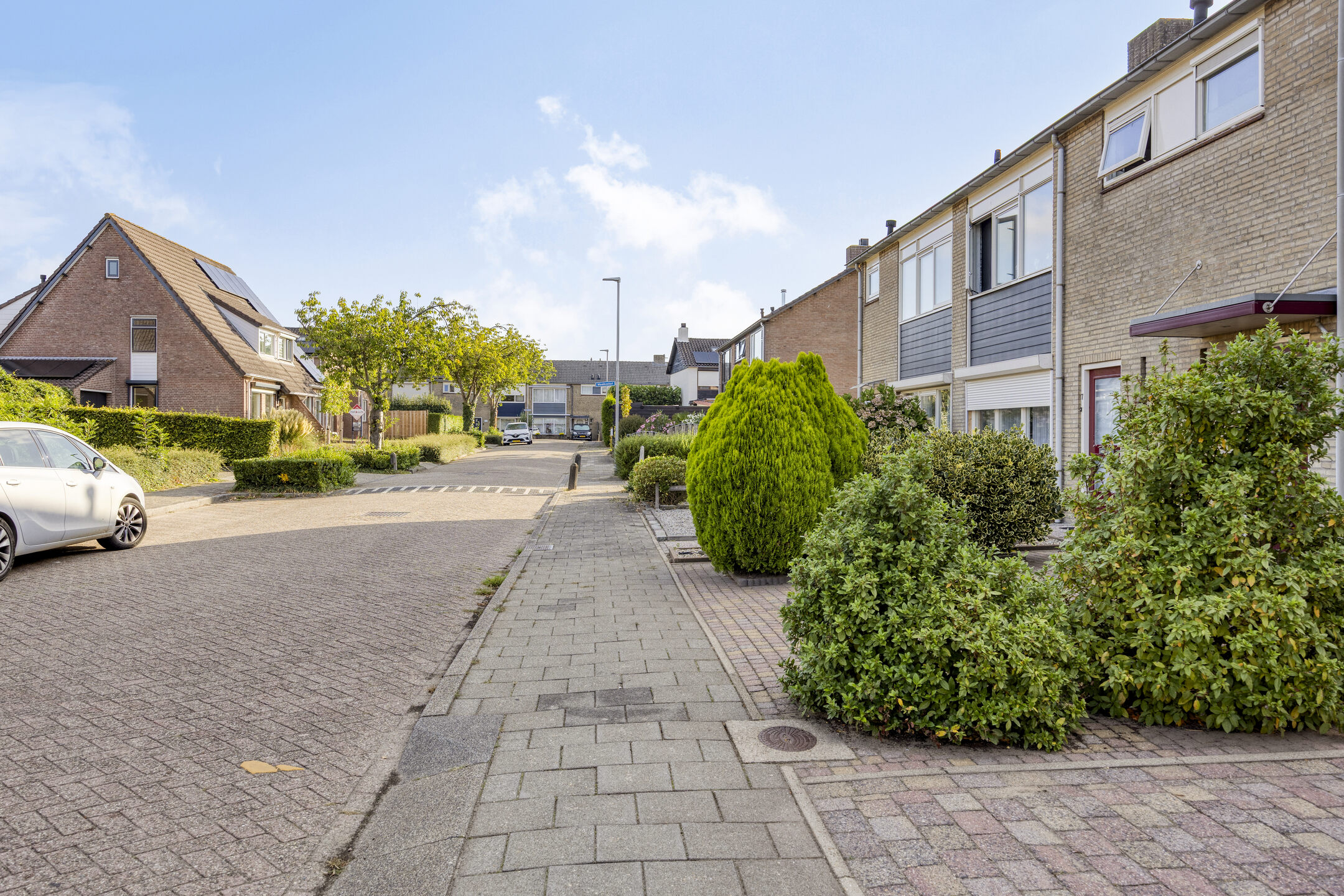 BL100474-13619-Aart-van-Osstraat-9,-Zuilichem-244354444