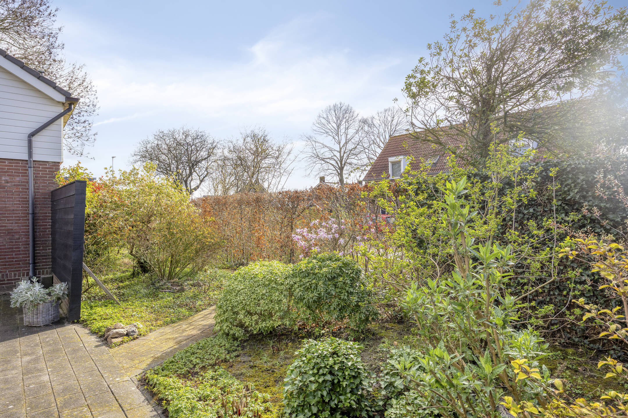 BL100484-16423-Hovendsedijk-47,-Brakel-270913354