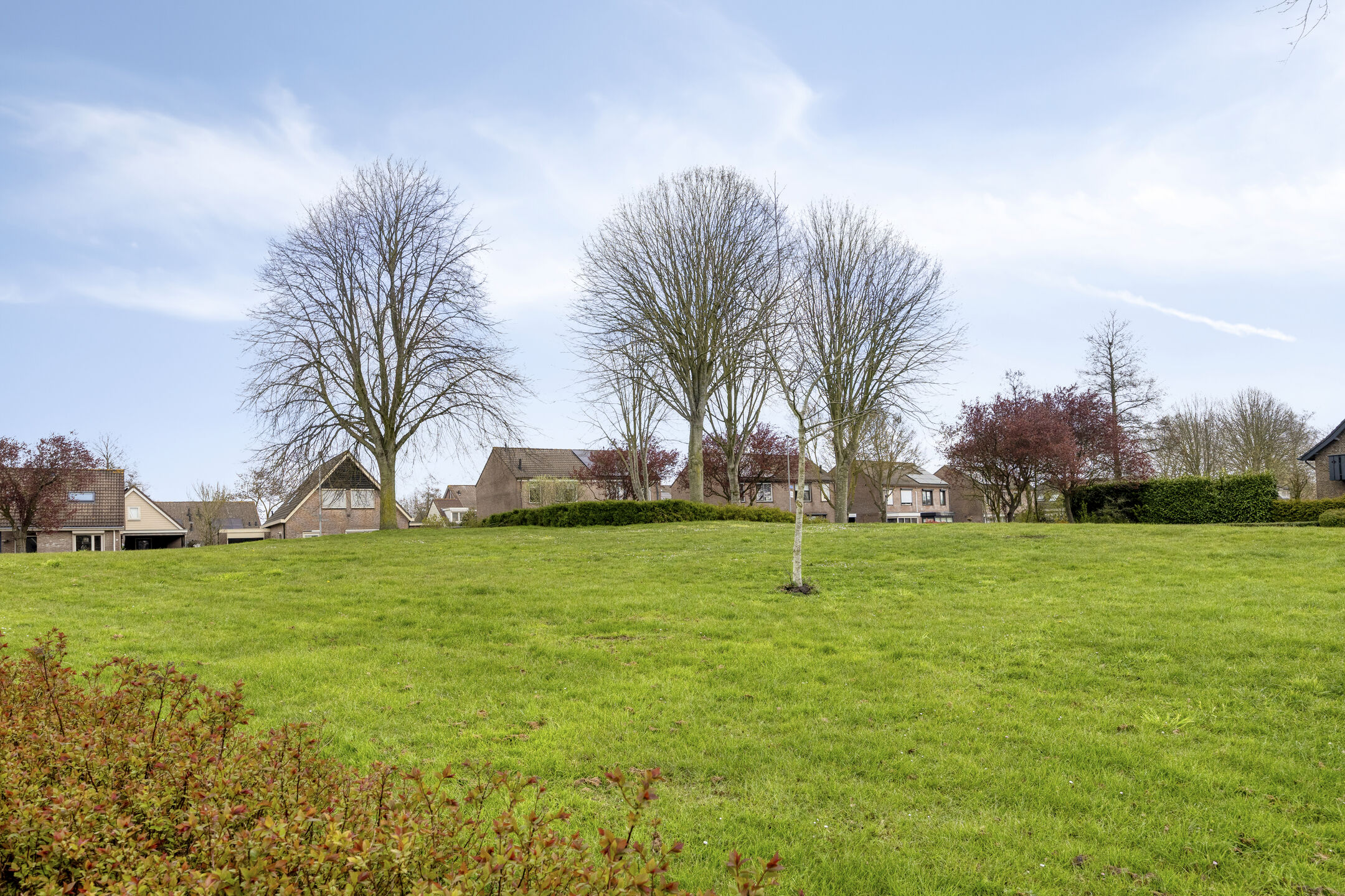 BL100484-16423-Hovendsedijk-47,-Brakel-270913394