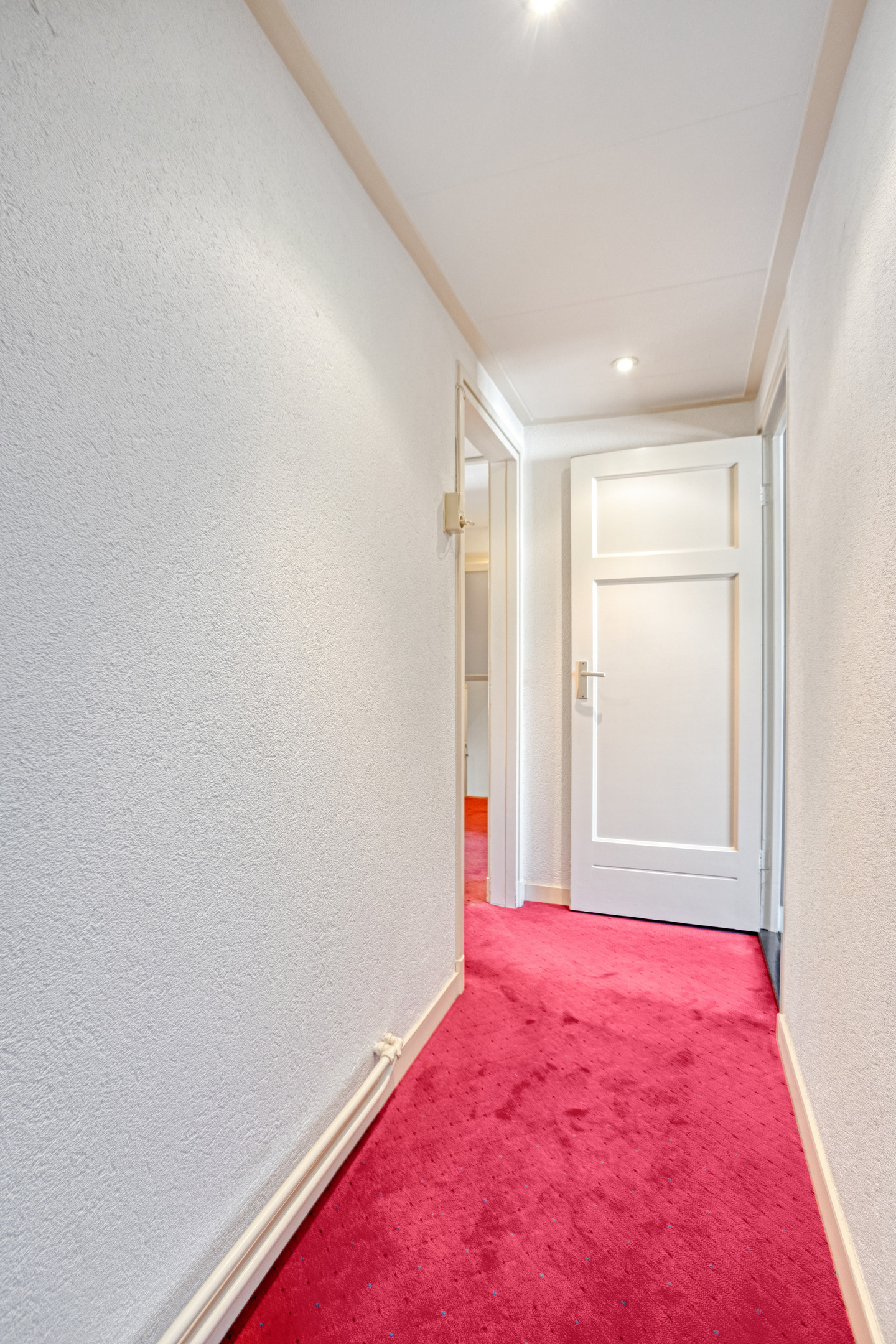 BL100485-17749-E.P.-van-Ooijenstraat-3,-Aalst-284335879