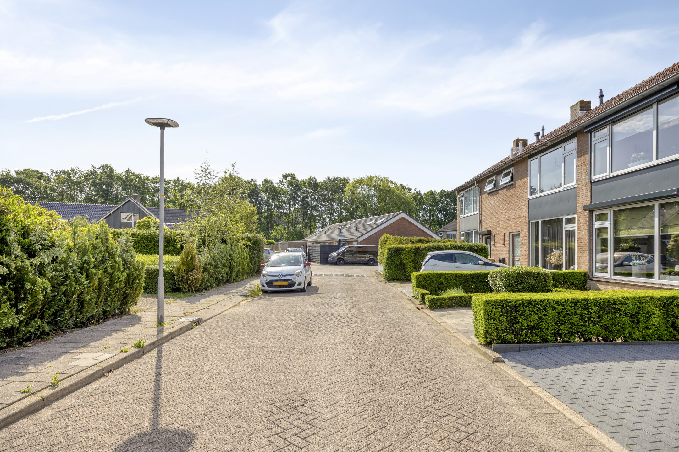 BL100490-17273-Jonker-Aartendam-5,-Brakel-279025732