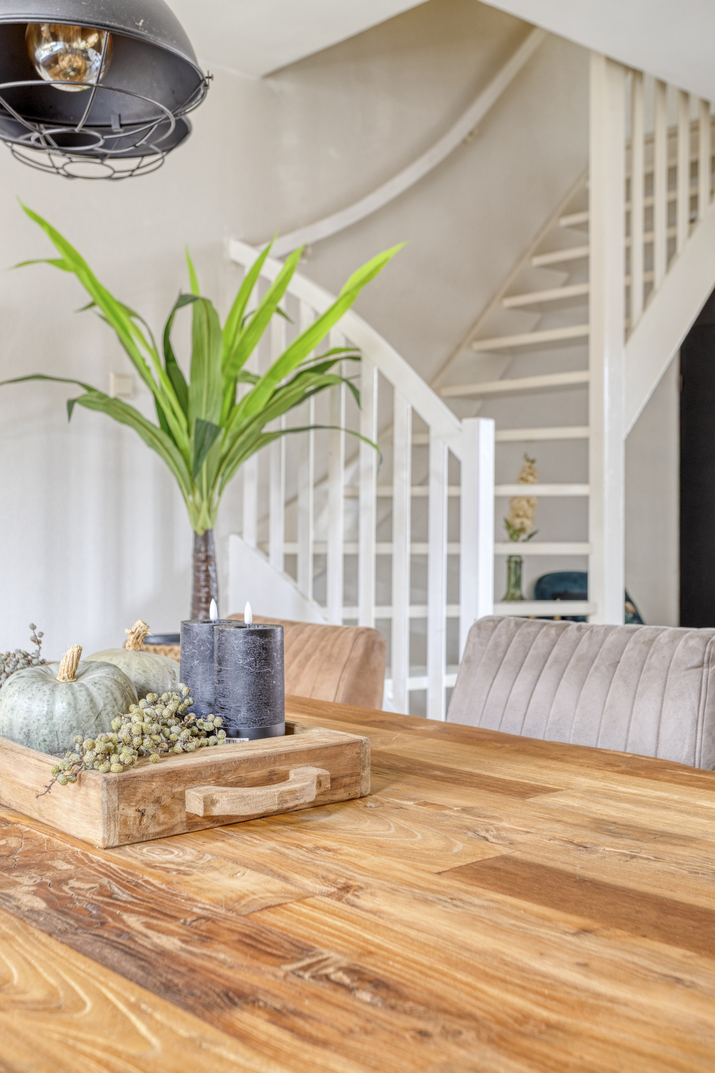 BL100498-18674-Meidoornstraat-5,-Brakel-293281831