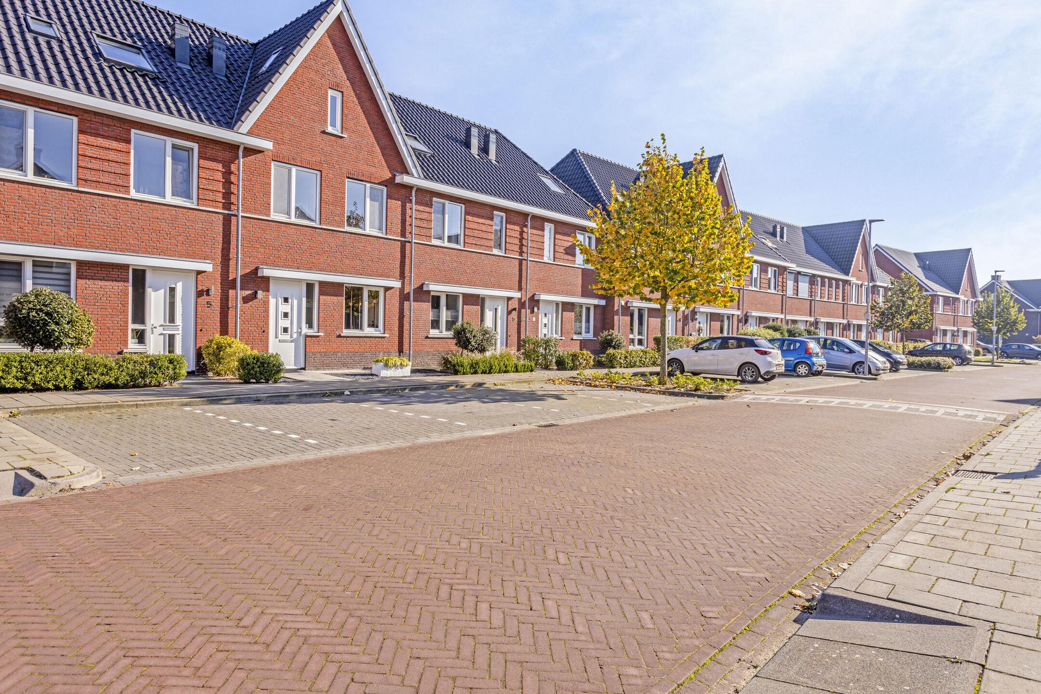 ZL100166-12932-Theo-van-Rijenlaan-7,-Zaltbommel-233658816