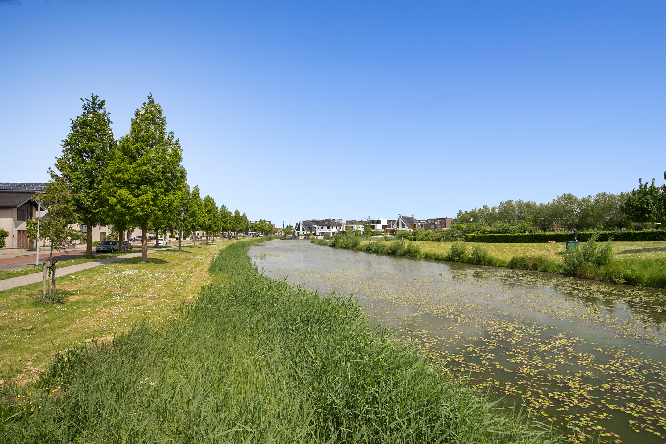 ZL100399-14698-Fiep-Westendorplaan-180,-Zaltbommel-182515589