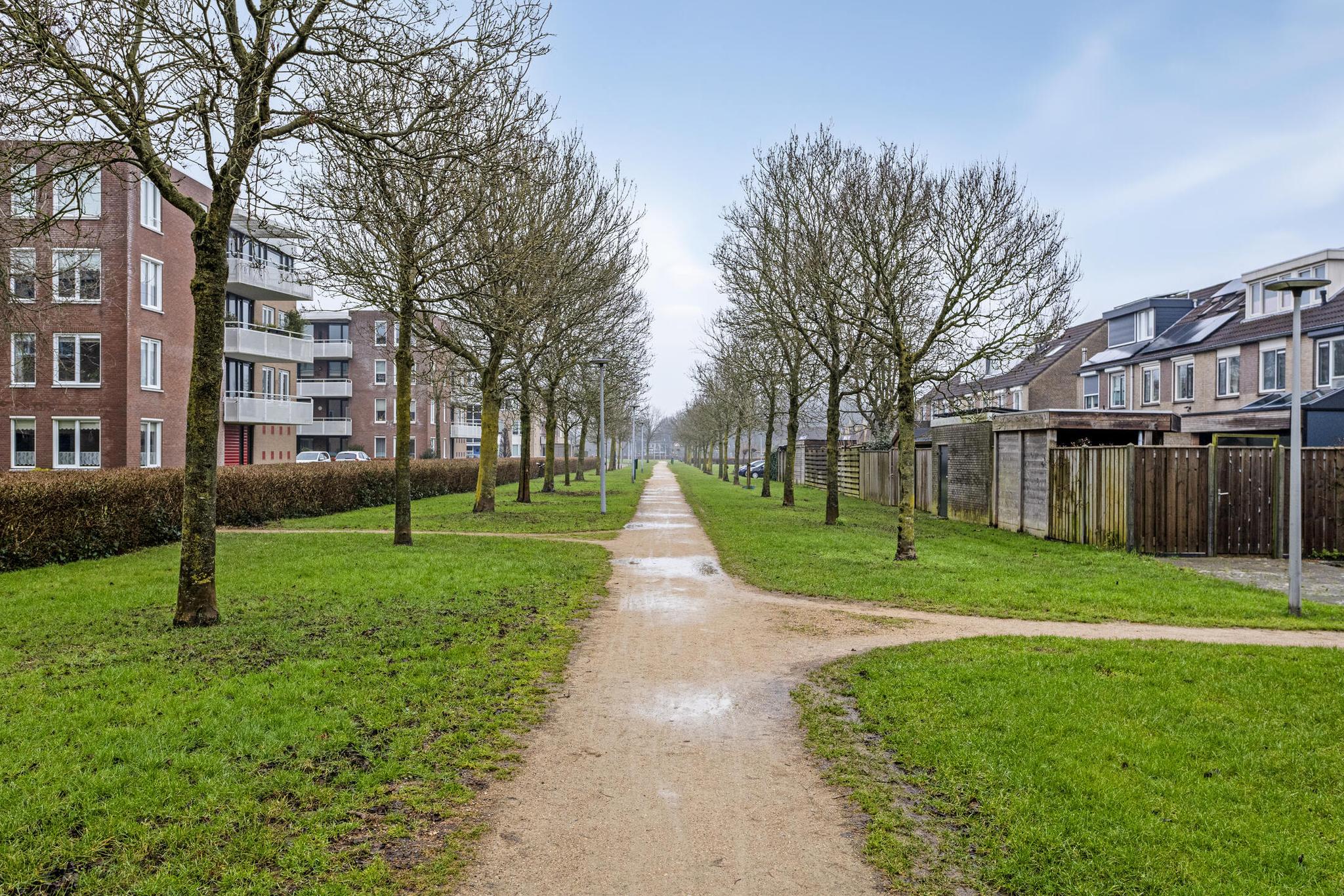 ZL100621-10299-Spie-4,-Zaltbommel-217451637