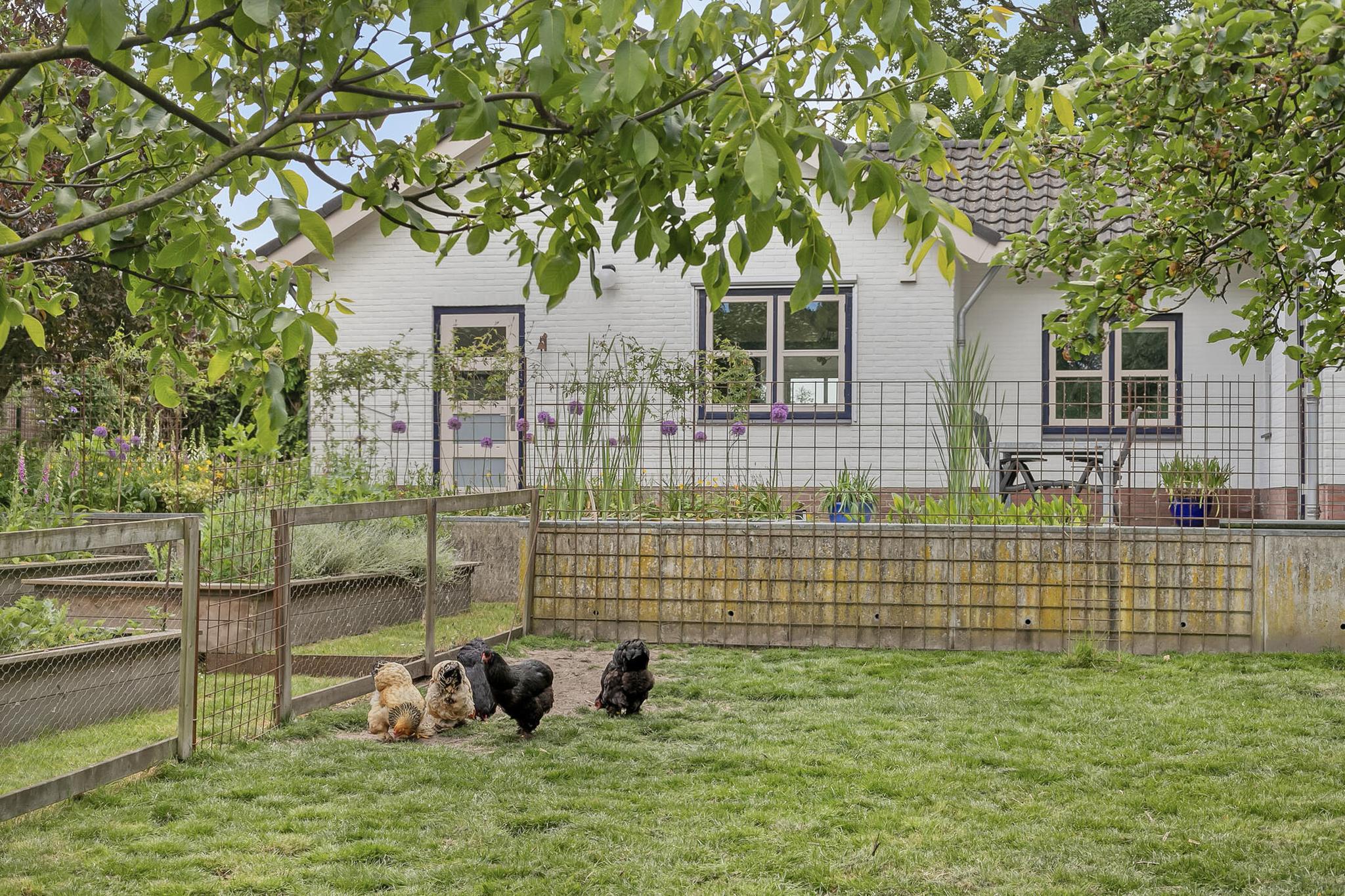 ZL100675-12693-Dorpsstraat-4,-Bruchem-231841748