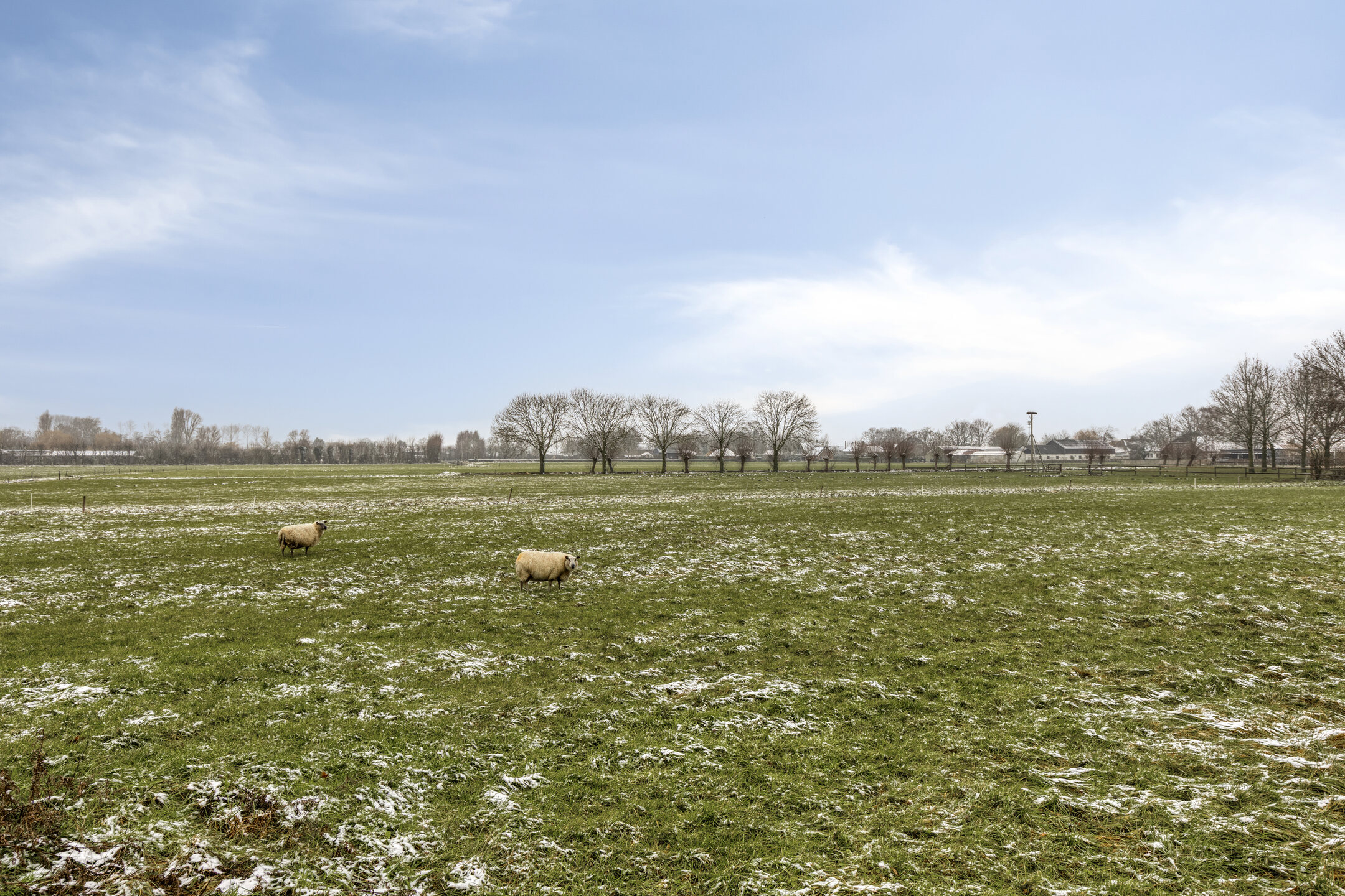 ZL100691-15650-Jan-Coolenhof-31,-Gameren-262560476