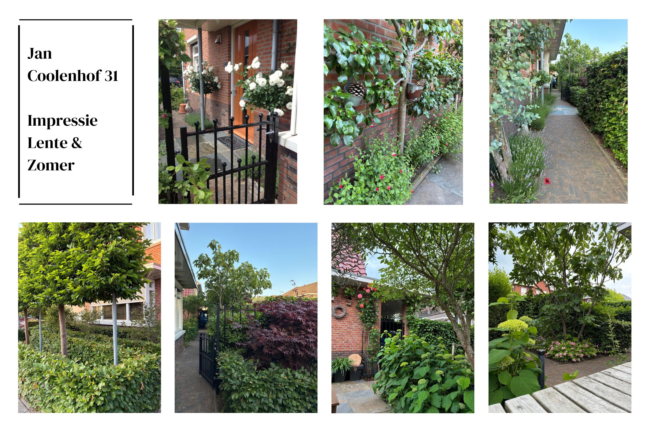 ZL100691-15650-Jan-Coolenhof-31,-Gameren-263831134