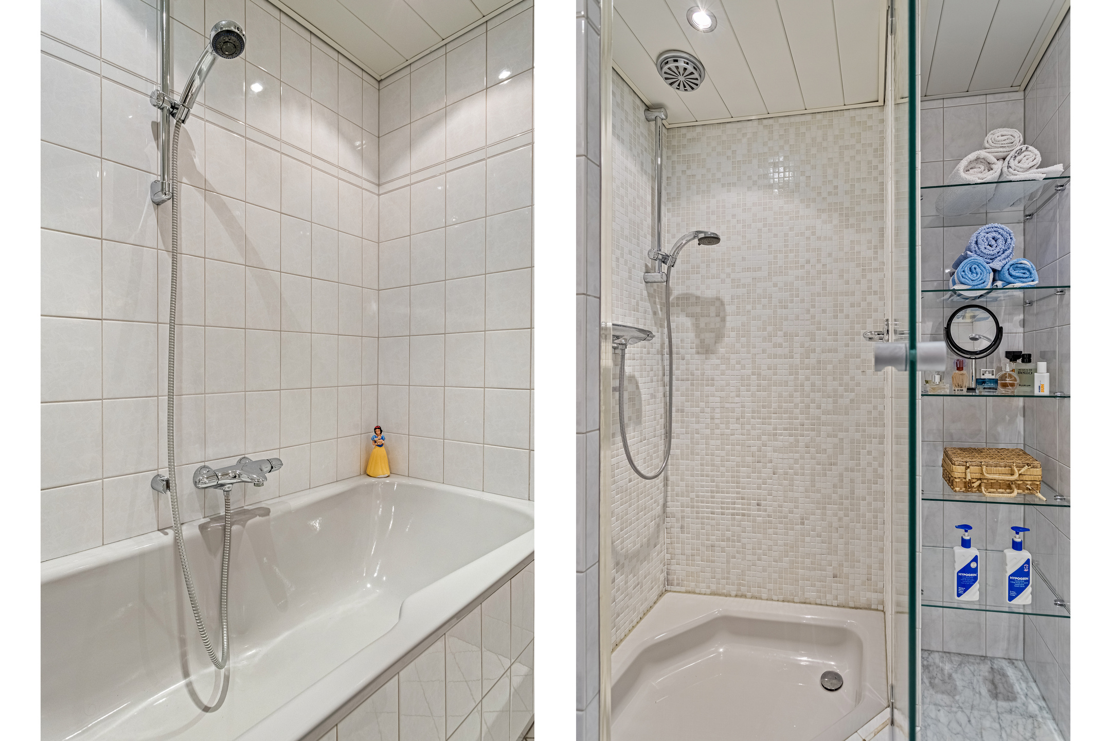 ZL100695-15807-Tienhont-30,-Zaltbommel-265881396