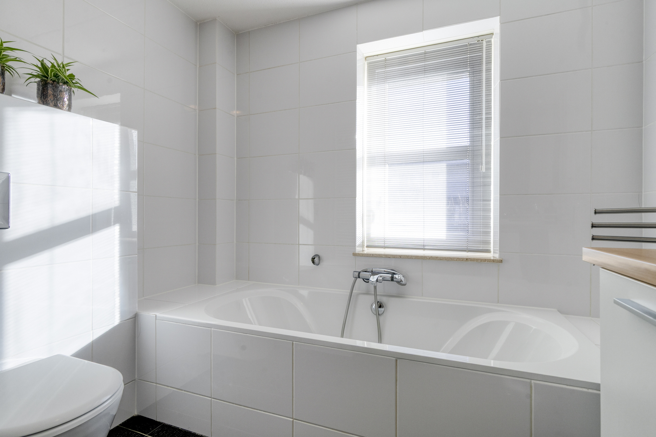 ZL100710-14865-Graaf-Reinaldstraat-20,-Zaltbommel-255038210