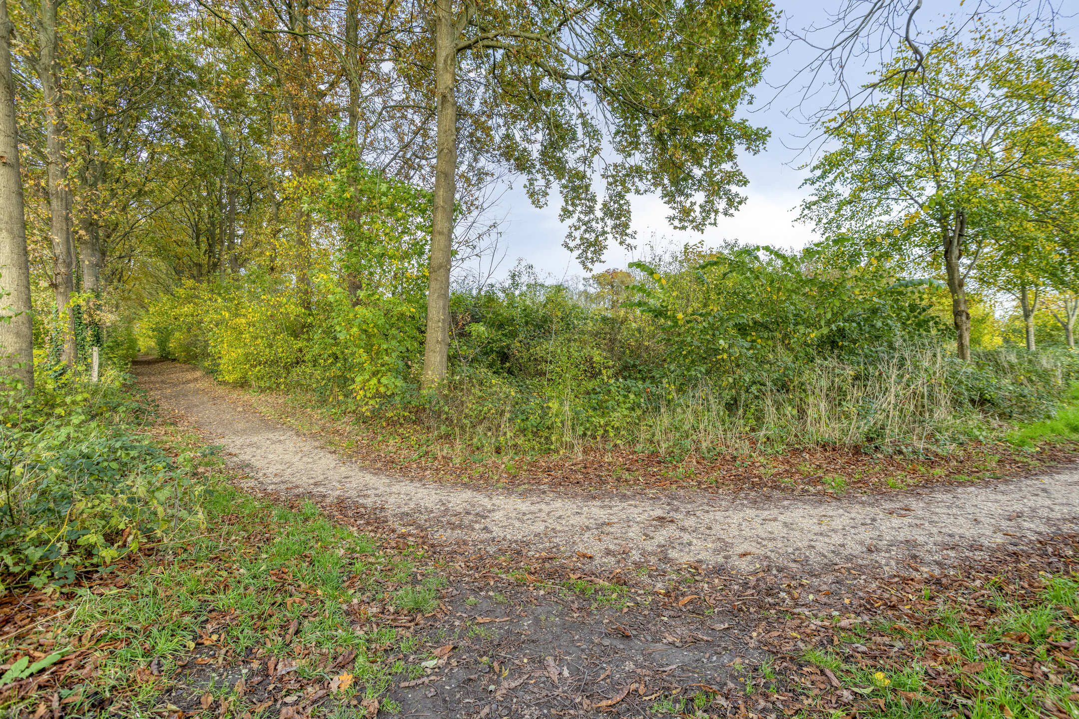 ZL100719-14752-Vrijheidslaan-20,-Brakel-253581712