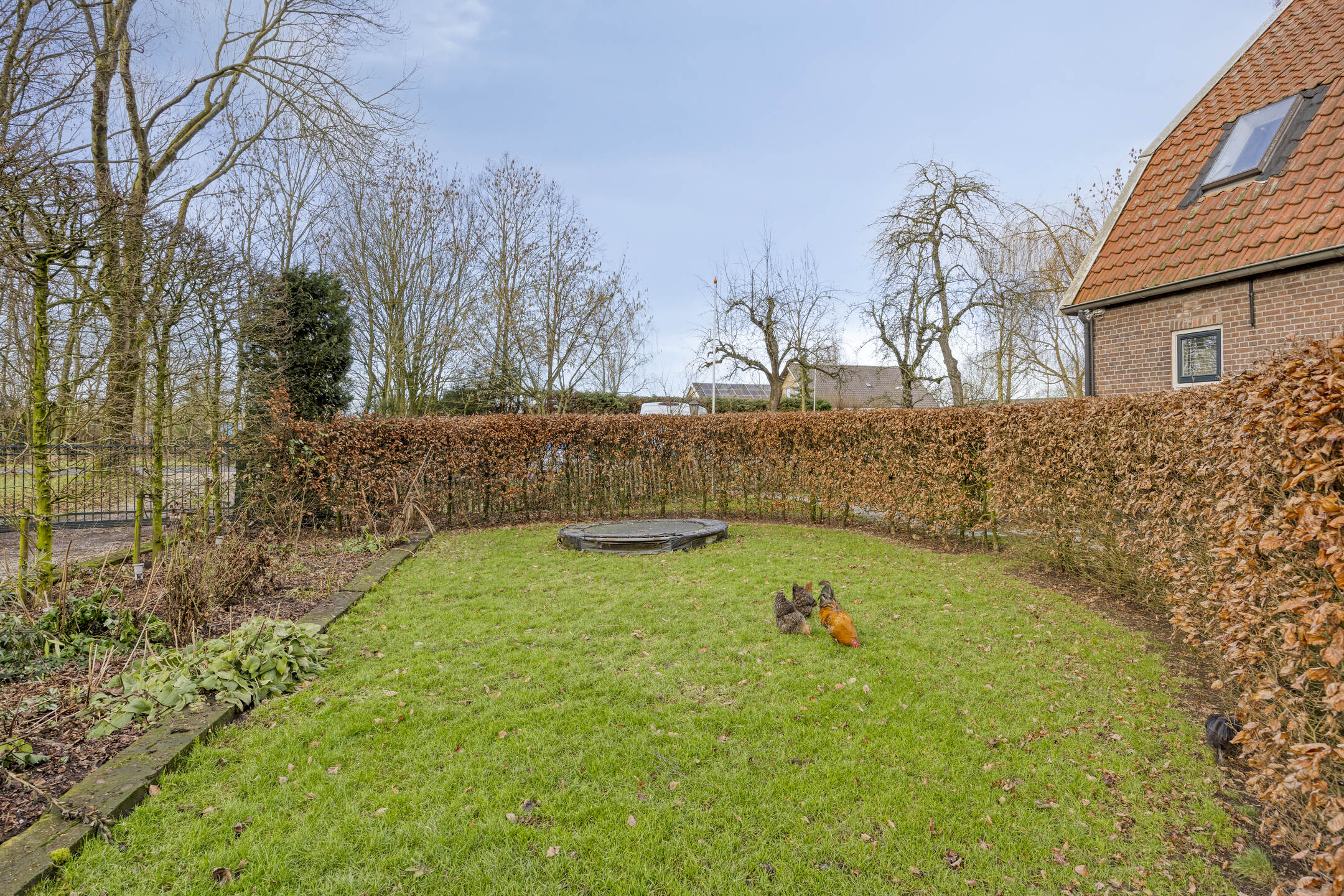 ZL100721-15454-Achterdijk-3,-Rossum-261258338