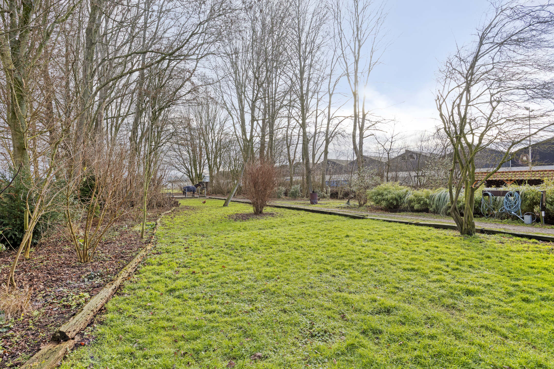 ZL100721-15454-Achterdijk-3,-Rossum-261258350