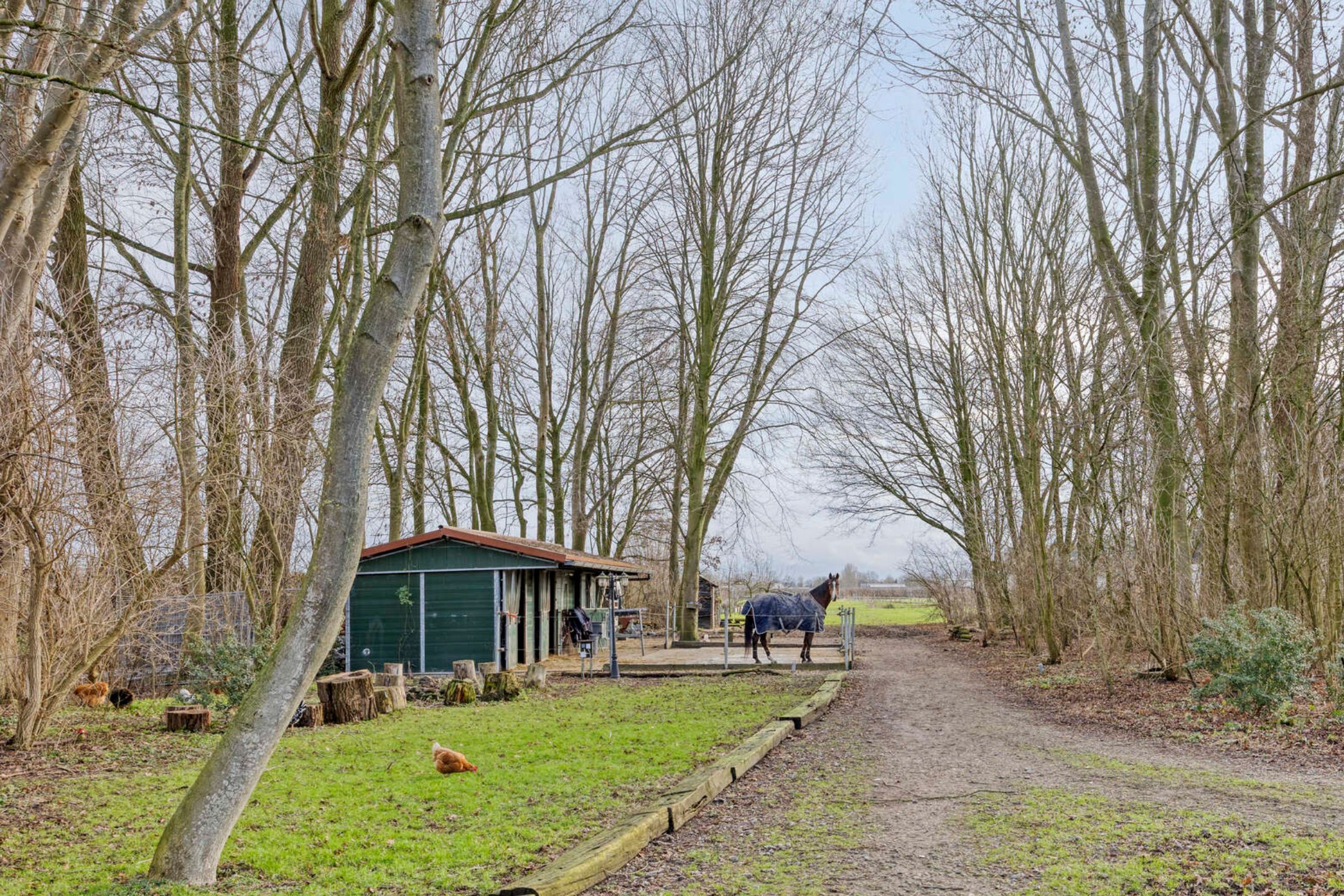 ZL100721-15454-Achterdijk-3,-Rossum-261258354