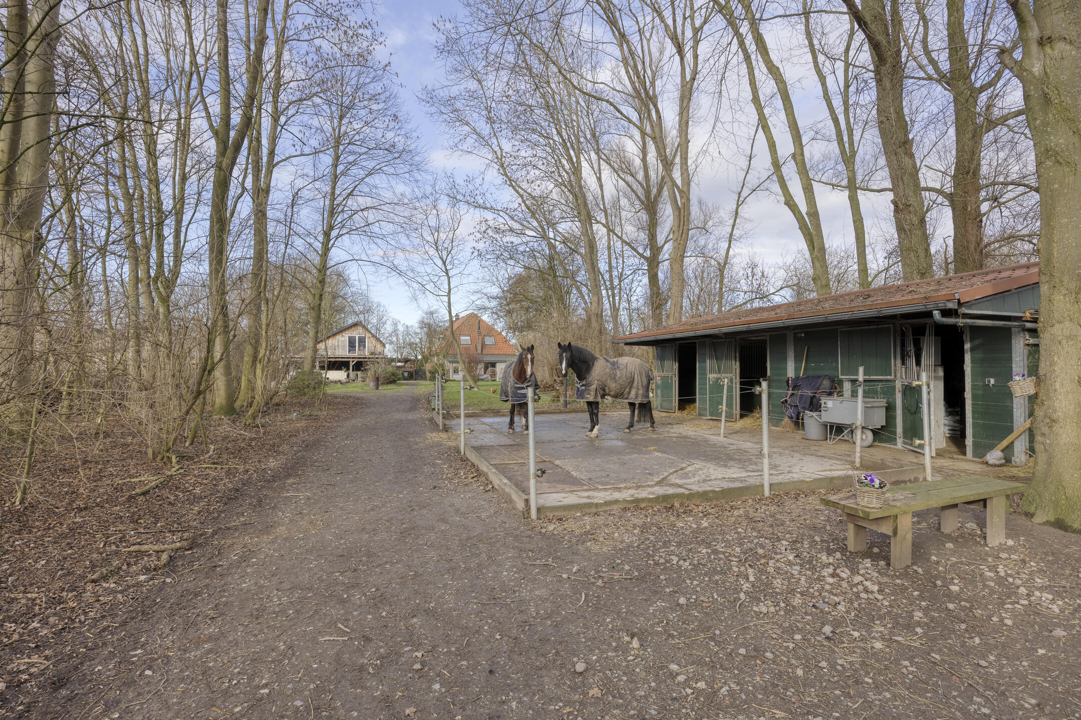 ZL100721-15454-Achterdijk-3,-Rossum-261258358