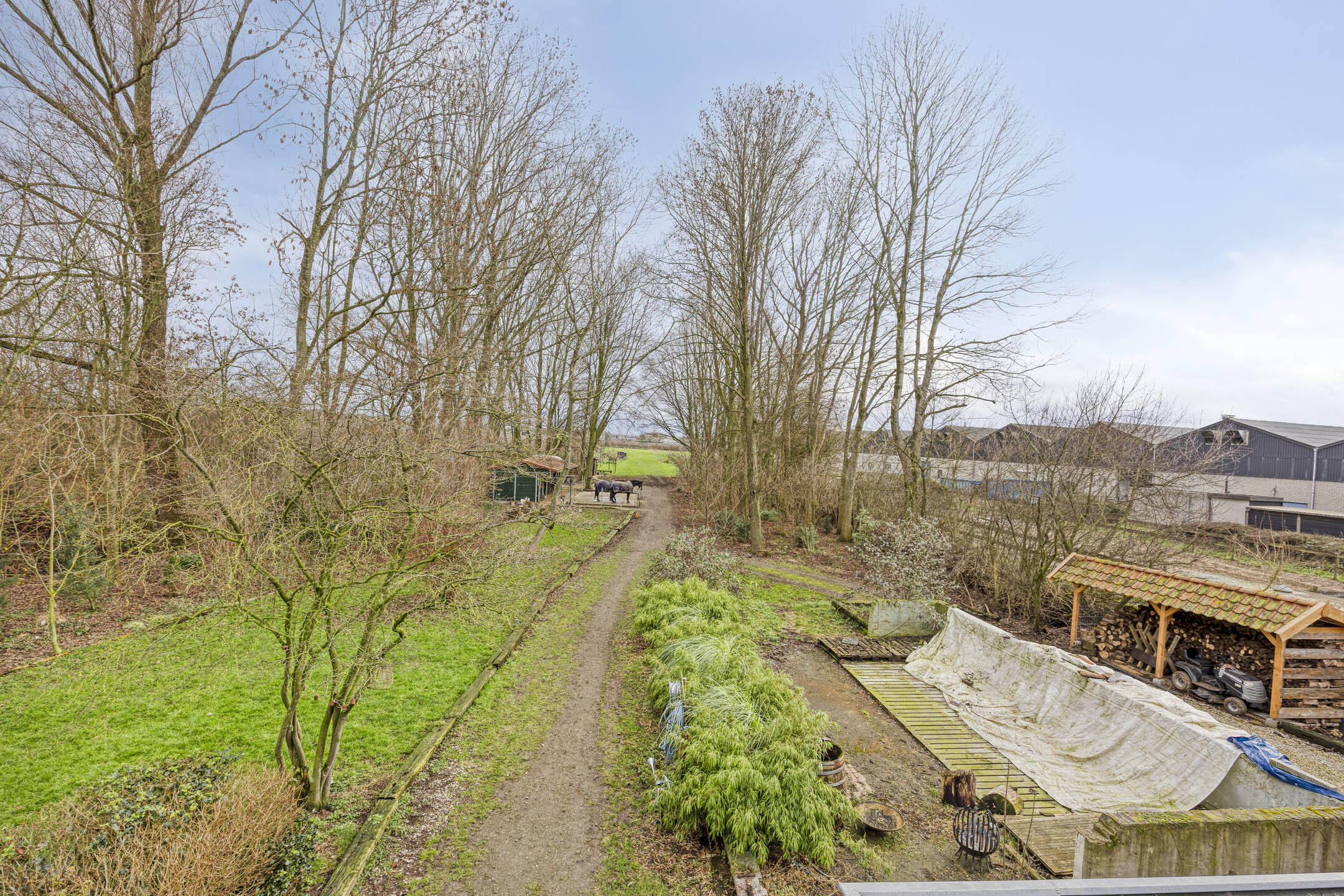 ZL100721-15454-Achterdijk-3,-Rossum-261258538