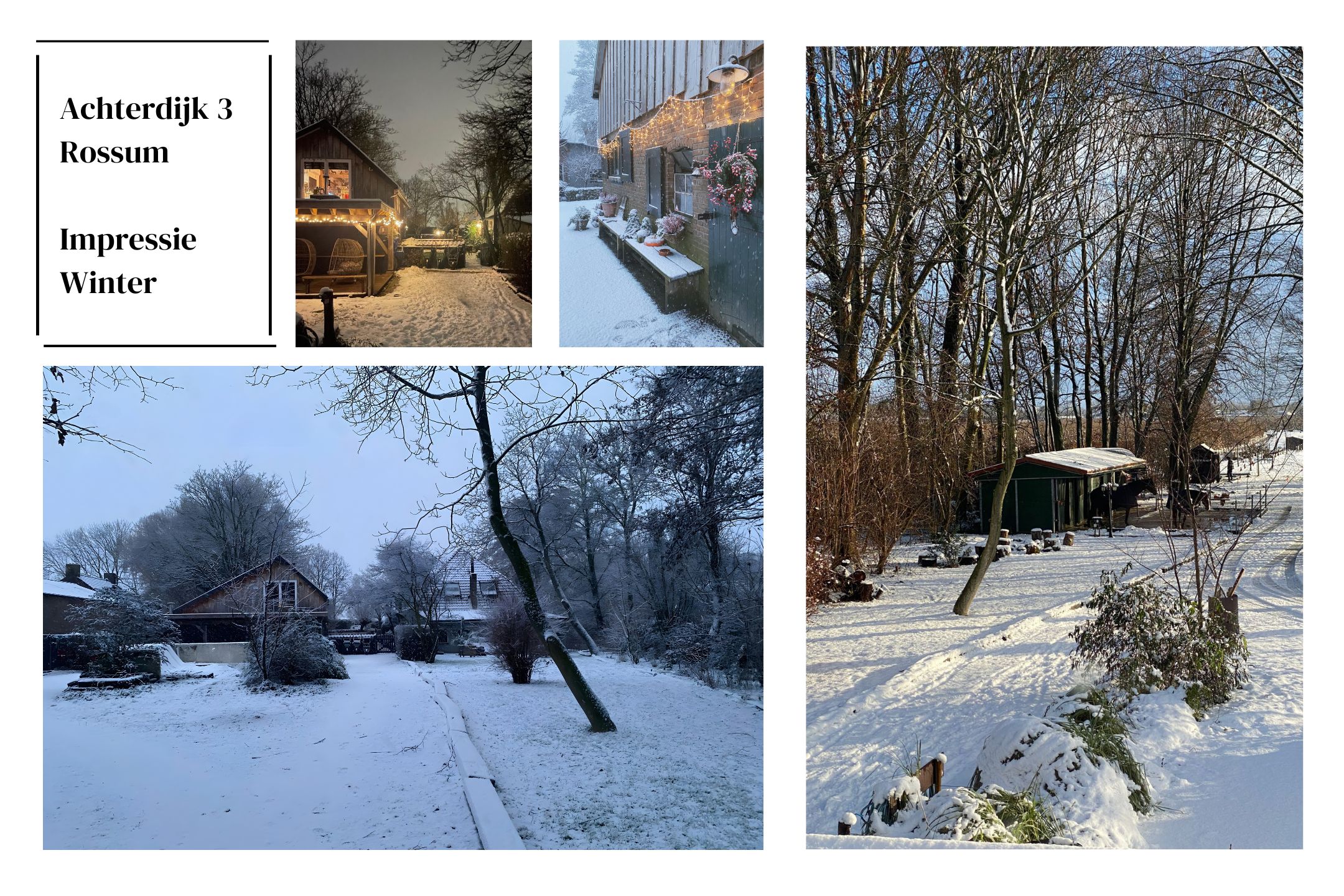 ZL100721-15454-Achterdijk-3,-Rossum-262252008