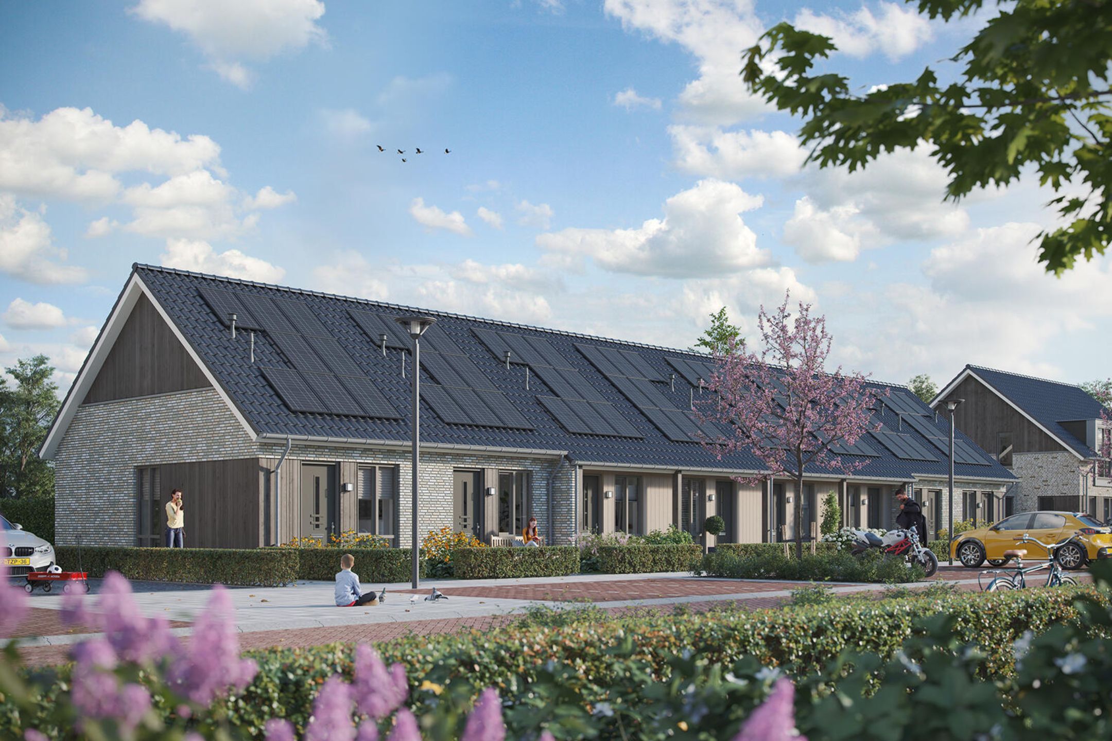 ZL100732-15050-De-Korenmolen-21,-Gameren-257176104