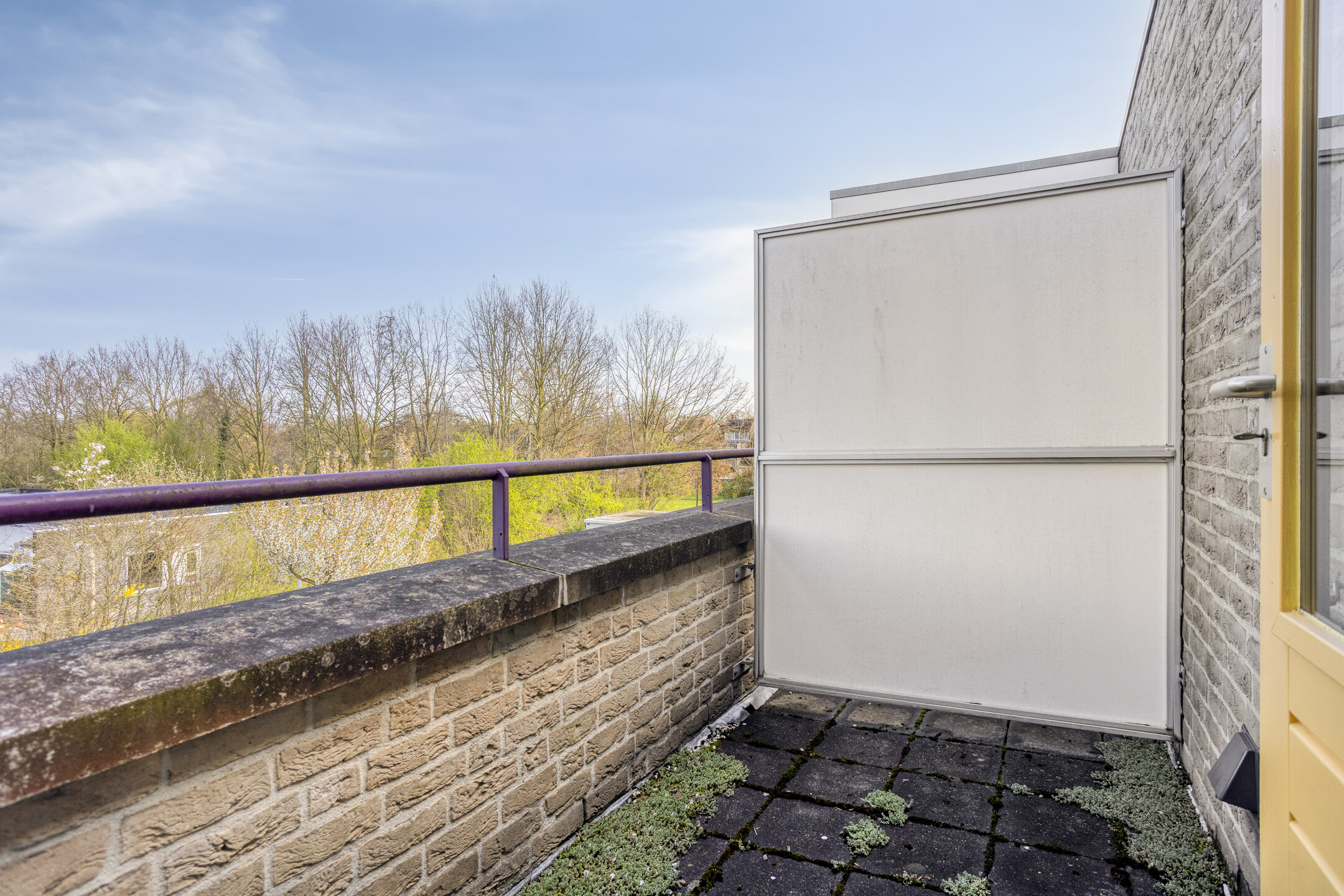 ZL100755-16371-Citadel-17,-Zaltbommel-269663830