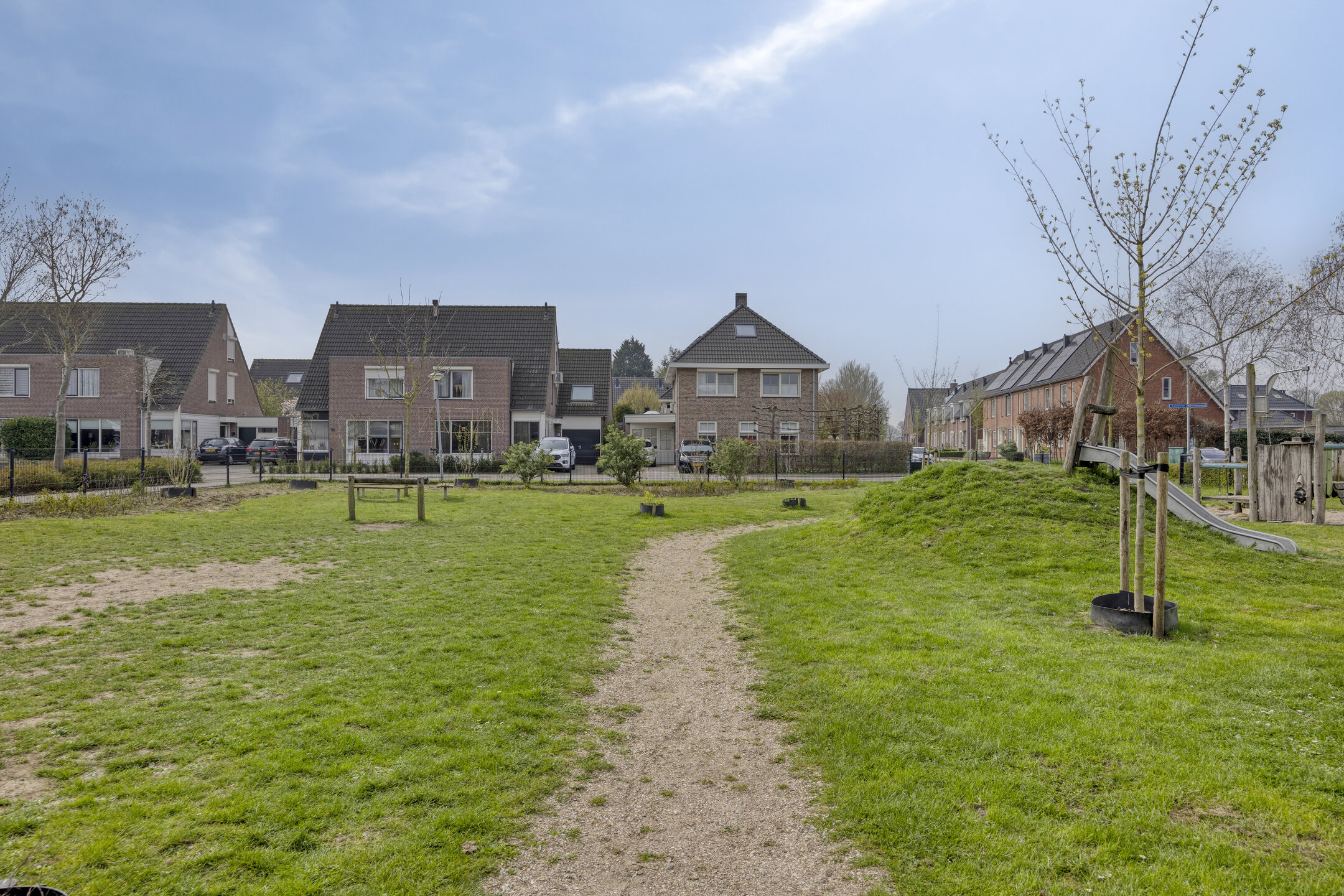 ZL100758-16179-Veldleeuwerik-10,-Bruchem-268873616