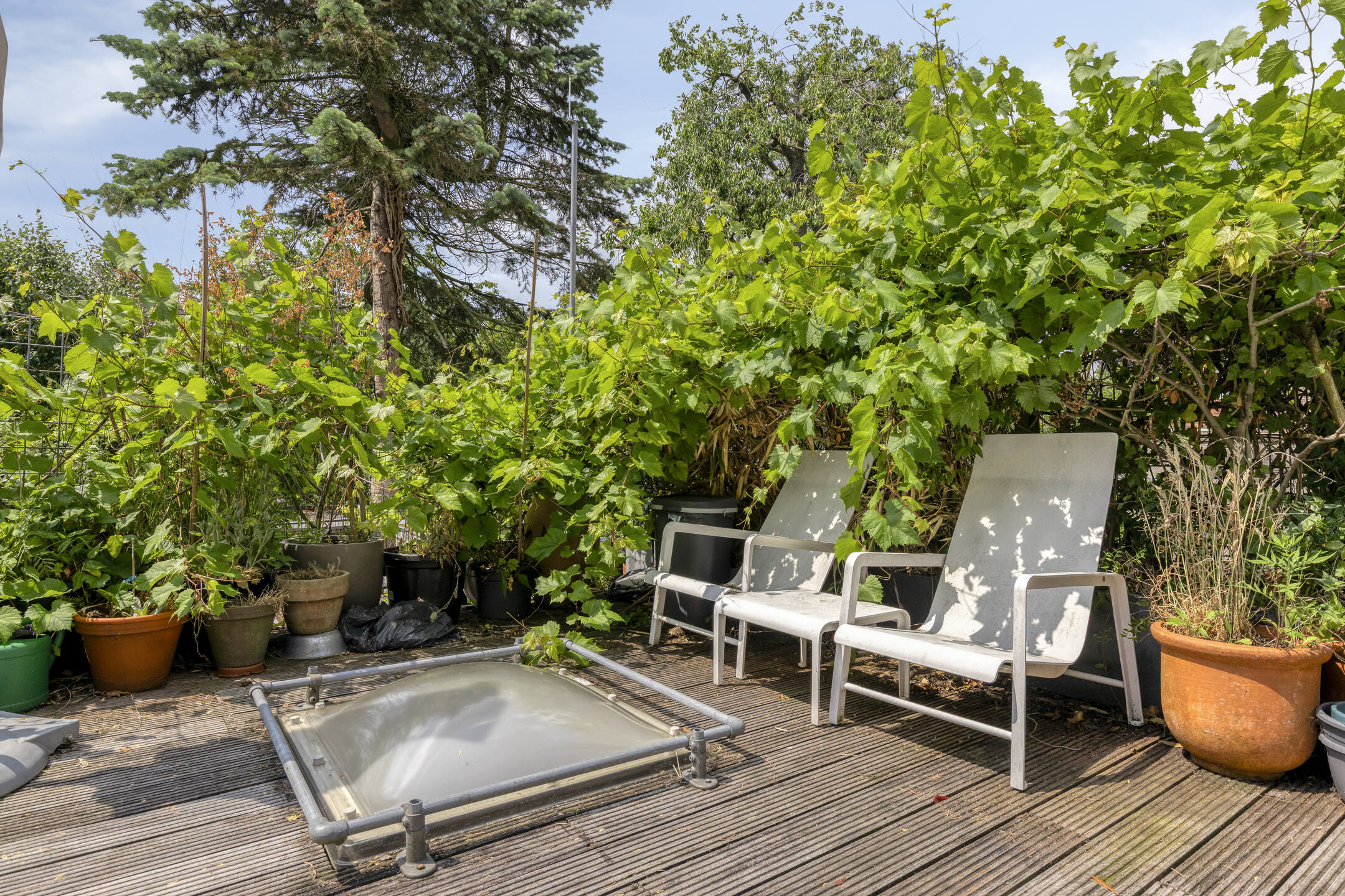 ZL100759-16132-Kerkstraat-38,-Zaltbommel-268282772