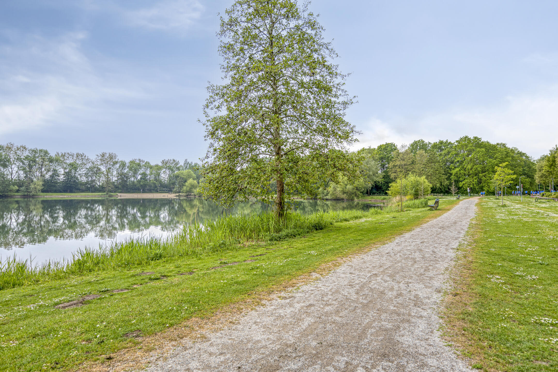 ZL100775-16848-Vrijhof-2,-Zaltbommel-274698210