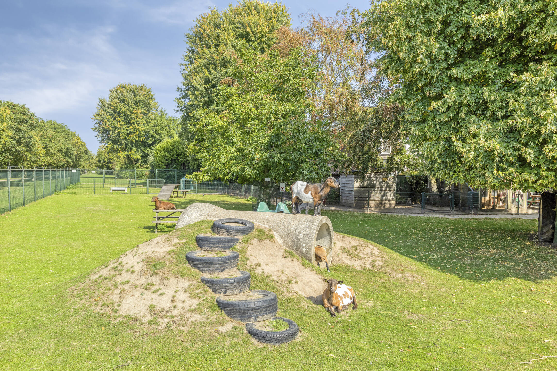 ZL100797-18358-Huibersakker-9,-Zaltbommel-290035543