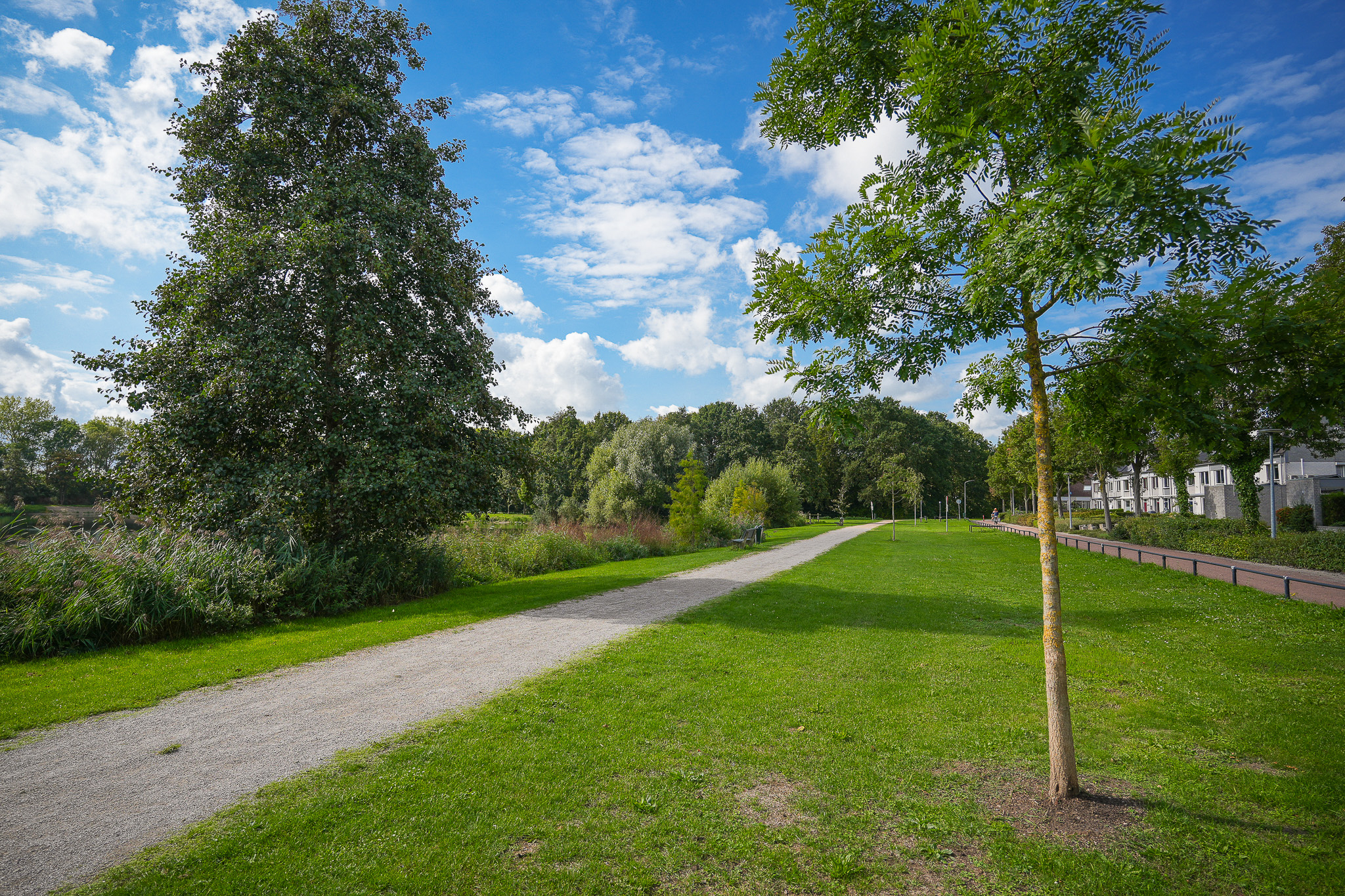 ZL100809-18728-Oeverwal-16,-Zaltbommel-293056141